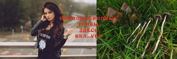 кокс Арсеньев