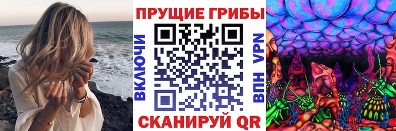 Псилоцибиновые грибы Cubensis Тайга